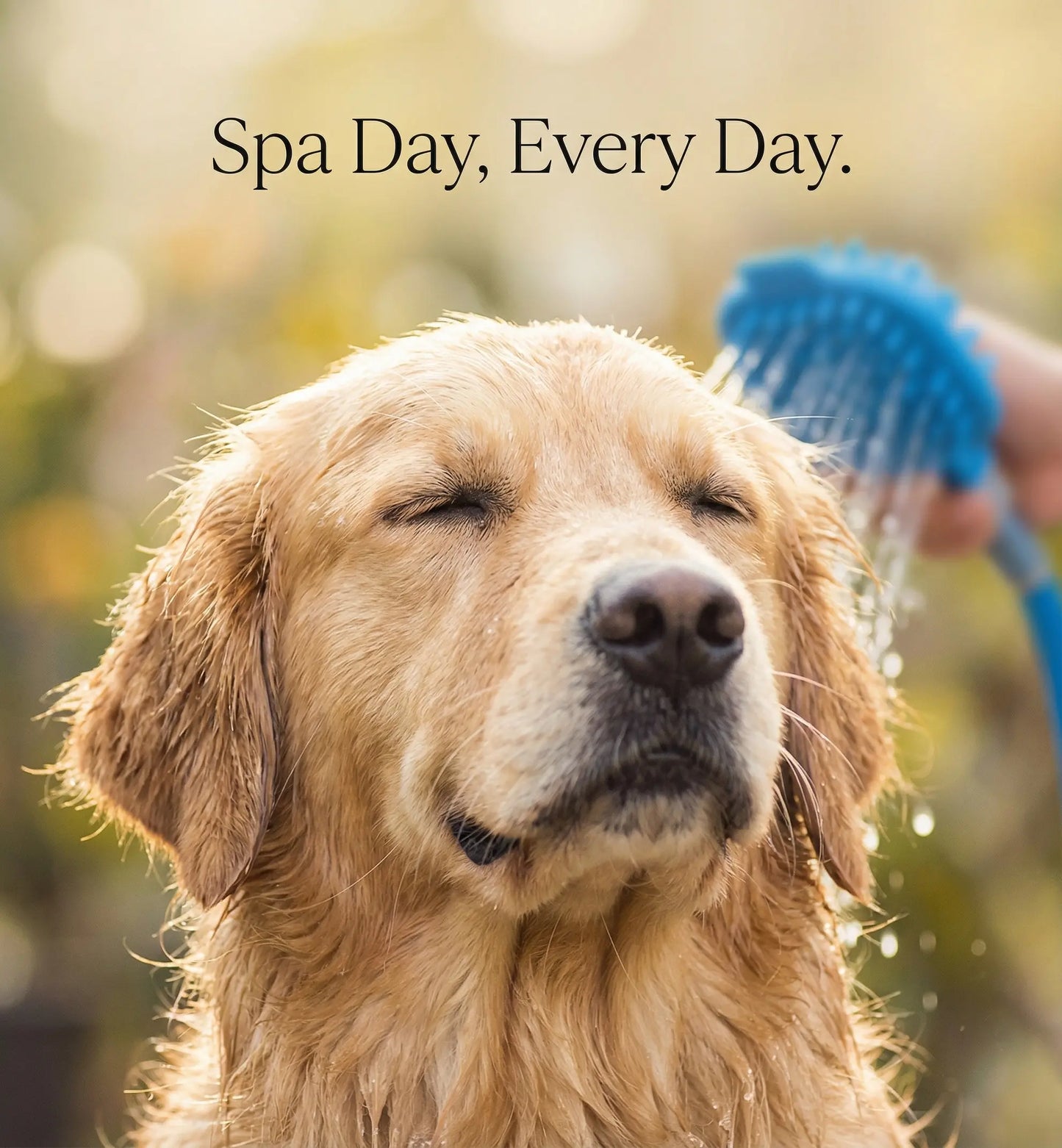 2-In-1 Dog Shower Attachment with Aqua Massage and Dual Shine Technology - Slip-On Hose for Indoor/Outdoor Pet Bathing and Grooming - Efficient Home Cleaning Solution, Blue
