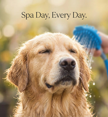 2-In-1 Dog Shower Attachment with Aqua Massage and Dual Shine Technology - Slip-On Hose for Indoor/Outdoor Pet Bathing and Grooming - Efficient Home Cleaning Solution, Blue